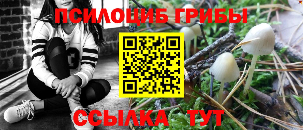 Ростов-на-Дону  Псилоцибиновые грибы мицелий  как найти наркотики  Галлюциногенные грибы Psilocybe  Вход с VPN 