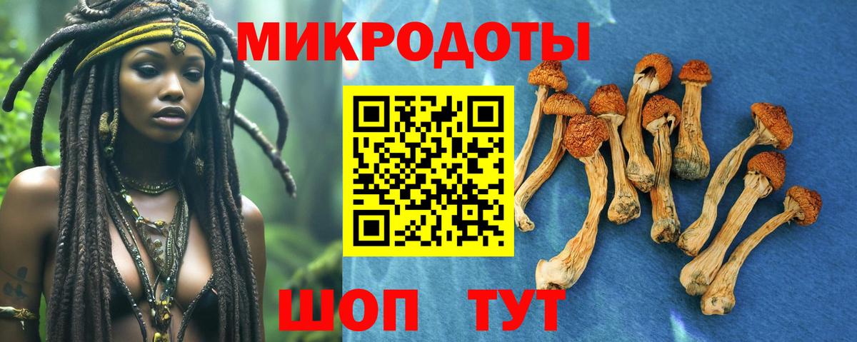 Галлюциногенные грибы MAGIC MUSHROOMS Ростов-на-Дону